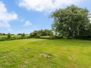 a large green field with a tree in the middle at Holiday Home Thorarin - 25km from the sea by Interhome in Højer