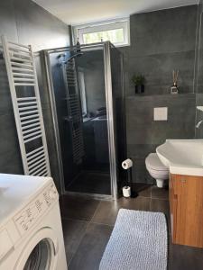 a bathroom with a shower and a toilet and a sink at Smile home 2, Zaanse schans and Amsterdam Appartements in Wormerveer +11 photos