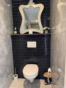 a bathroom with a toilet and a large mirror at Smile home, Zaanse schans and Amsterdam Appartements in Wormerveer