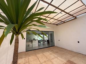a palm tree in an empty room with a ceiling at Casa Branca Mediterrânea in Barra Grande