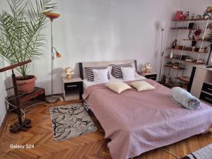 Un dormitorio con una cama grande con dos almohadas. en Old Town Petcu`s House, en Brasov