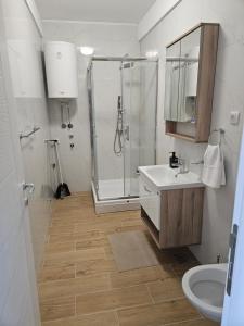 a bathroom with a shower and a sink and a toilet at Luxury Apartments Danube in Golubac +58 photos