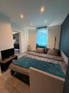 a bedroom with a large bed and a flat screen tv at T2 proche Techn'hom in Cravanche