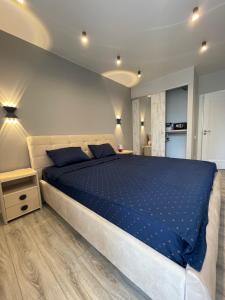 a bedroom with a large bed with blue sheets at Buiucani Residence in Chişinău