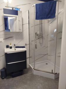 a bathroom with a shower and a sink at Trimare Blue Apartament Sztutowo in Sztutowo
