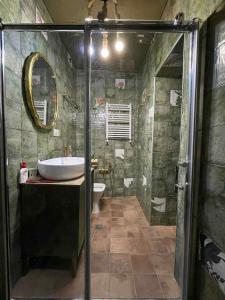 Un baño con ducha, lavabo e inodoro. en Villa Tabori, en Tiflis