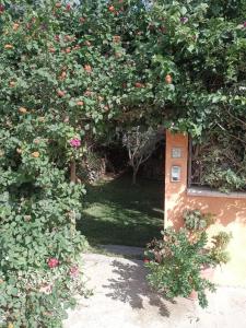 Κήπος έξω από το Namasté Suite - Porto Pino