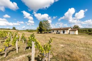 a house in the middle of a field with vines at Maison Cœur Des Vignes in Les Salles-de-Castillon