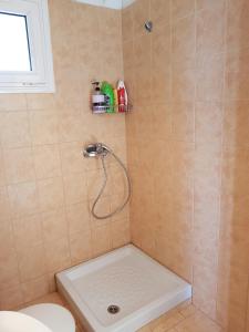 a bathroom with a shower with a sink and a toilet at Anna's flat in Kavos