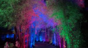 un tunnel d'arbres avec des lumières colorées dessus dans l'établissement Hotel Santika Premiere Hills Resort Cibadak Sukabumi, à Cibadak 41 autres photos