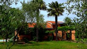 a house with a palm tree in a yard at Apartments Garden Monsena in Rovinj