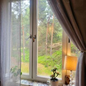 a window with a view of a forest at Apartment close to Stockholm City in nature in Segeltorp