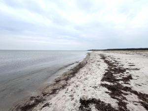 Store FugledeにあるHoliday Home Antonina - 225m from the sea by Interhomeの曇りの日の砂浜