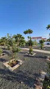 Fotografie z fotogalerie ubytování شاليهات Chalets v destinaci Būbādī + 83 fotografií