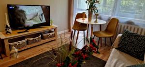 Μια τηλεόραση ή/και κέντρο ψυχαγωγίας στο Apartament Wapienna