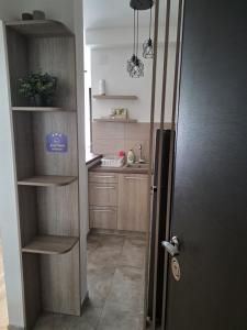 a kitchen with wooden cabinets and a refrigerator at Vist 1 apartment in Tošin Bunar