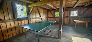 a ping pong table in a room in a wooden cabin at Ferienhaus VILLA ZAUBERBLICK am Rennsteig Frankenwald FREISTEHEND naturnah HUNDEFREUNDLICH eingezäunt in Ludwigsstadt