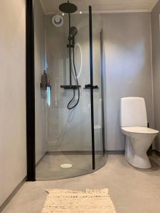 a bathroom with a shower and a toilet at Log cabin with hot tub and views in Ludvigsborg