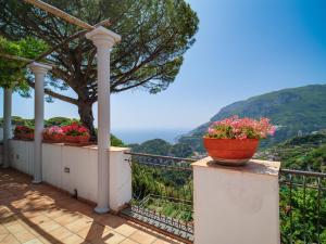 two potted plants on a balcony with a view at Villa Piccinina - A pochi passi da Villa Eva in Ravello