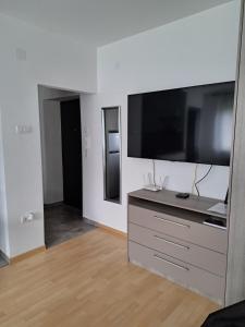a living room with a large flat screen tv at Vist 1 apartment in Tošin Bunar
