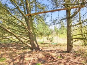 a swing in a tree in the woods at Holiday Home Efimija - 1-4km from the sea by Interhome in Mølby