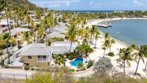 an aerial view of a beach with palm trees and a resort at Antigua Bay Villa in Bats Cave