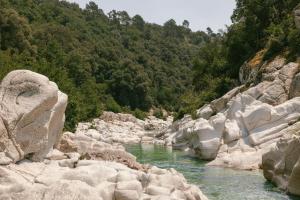 a river with rocks and trees in the background at Slow Village Anduze - Cévennes in Corbés