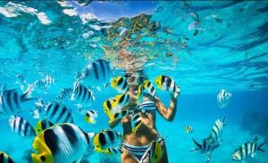 プンタ・カナにあるTours a la isla saonaのギャラリーの写真