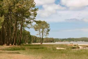 a field with trees and a body of water at Slow Village Biscarrosse Lac in Biscarrosse