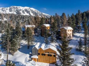 a cabin in the snow in front of a mountain at Hollmann am Berg Ski-in Ski-out in Turracher Hohe