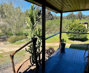 Zahrada ubytování Kaape House