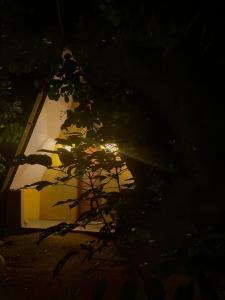 una pianta di notte davanti a una finestra di Camping José & Maria a Santa Luzia do Pará