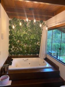 a bath tub in a bathroom with a green wall at Caminhos da Serra do Tabuleiro - Chalé das Árvores in São Bonifácio +17 photos
