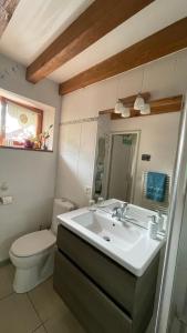 a bathroom with a sink and a toilet at L'Orme Seul, Gîte in Vineuil +50 photos