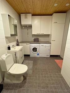 ソダンキュラにあるA one-bedroom apartment with a sauna near the centerのトイレと洗面台のある小さなバスルーム +7枚の写真