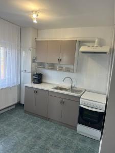 a small kitchen with a sink and a refrigerator at Oma Ra in Ocna-Mureşului
