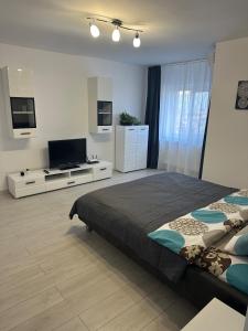 a bedroom with a bed and a flat screen tv at Oma Ra in Ocna-Mureşului