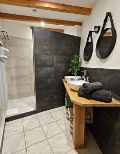 a bathroom with a sink and a shower at Les Cols du Ventoux - Appartement La Madeleine in Bédoin