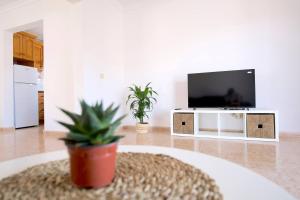 a living room with a tv and a potted plant at Casa Kalendra Rofe Tu refugio cerca del mar in Guatiza