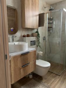 Un baño con lavabo, inodoro y ducha. en Résidence du centre 8, en Kragujevac