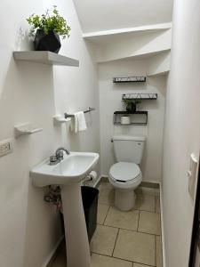 a white bathroom with a toilet and a sink at Casa el Castaño in Torreón +3 photos