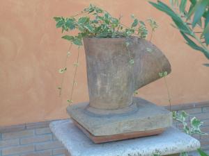 un pot avec une plante assise sur une table dans l'établissement B&B La Gioiosa, à Assise