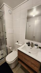 a bathroom with a sink and a toilet and a mirror at Departamento Estudio, inmejorable ubicación, parking in Los Ángeles +3 photos