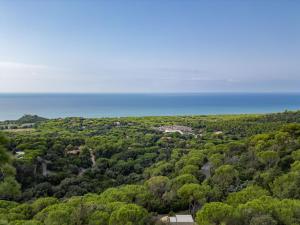 an aerial view of a forest with the ocean in the background at Holiday Home Sabrina by Interhome in Castiglione della Pescaia