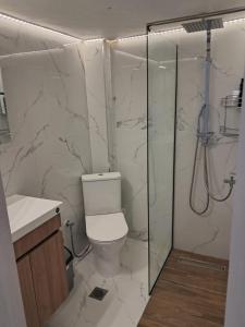 a bathroom with a toilet and a glass shower at Sea View Potidaia in Nea Potidaea