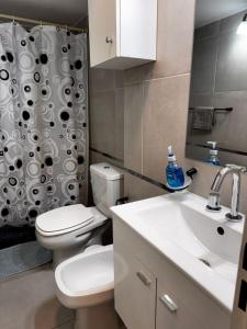 a bathroom with a toilet and a shower curtain at Monoambiente a estrenar ubicado en el centro de la Falda in La Falda