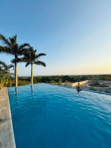 a large blue swimming pool with two palm trees at Almare F4 in Puerto Escondido
