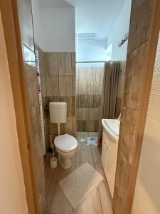 a small bathroom with a toilet and a sink at Mária Vendégház in Bogács