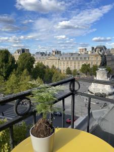 a plant sitting on a table on a balcony with a view of a city at Eiffel Tower View Apartment in Paris