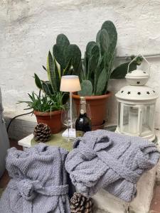 a table with two towels and a lamp and plants at Il Giardino Nascosto in Trieste +38 photos